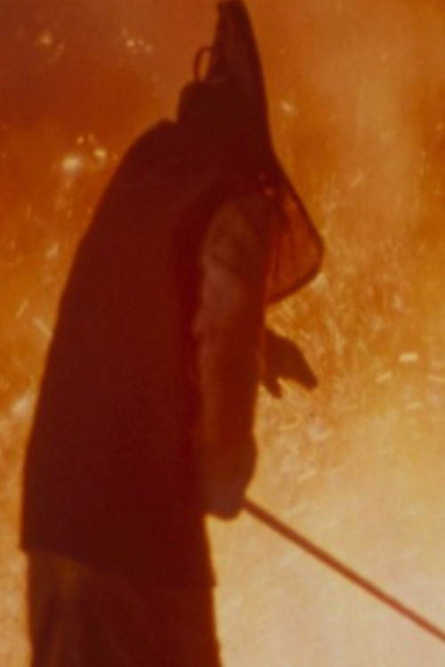 Foreigners Pt. 1: Ships and Cannons Poster