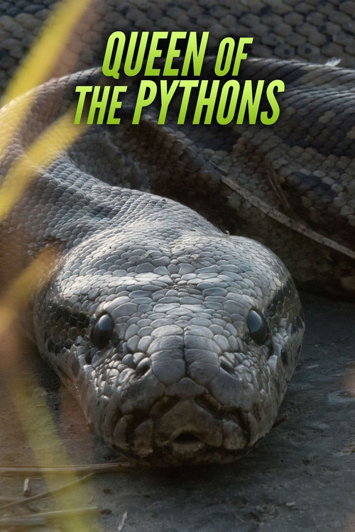 Queen of the Pythons Poster