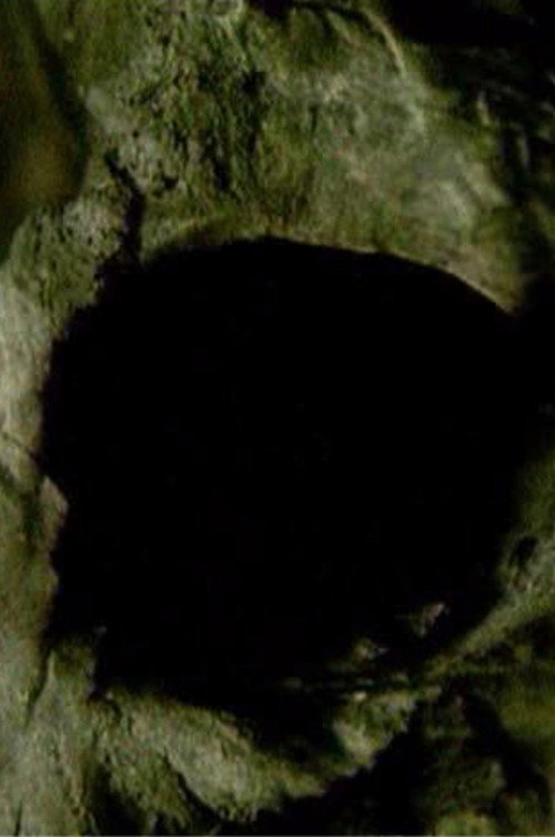 Midnight Black Earth Poster