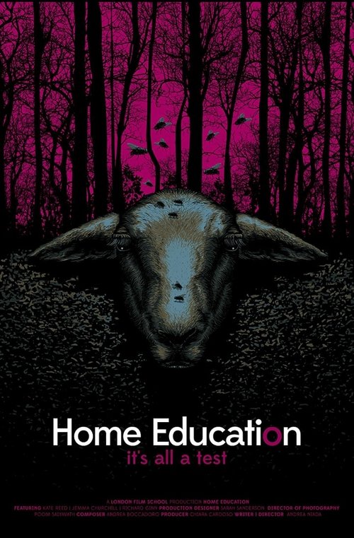 Home Education Poster