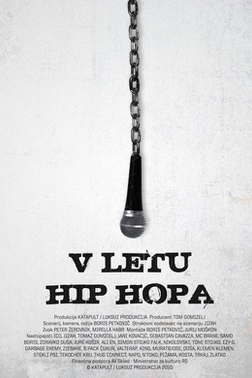 In the Year of Hip Hop Poster
