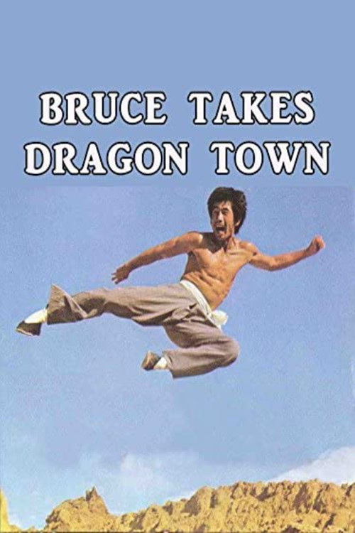 Bruce Takes Dragon Town Poster