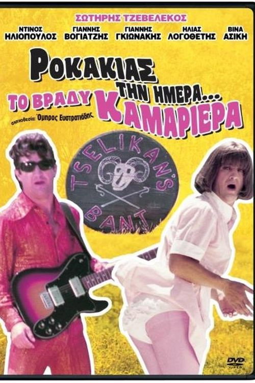 Rock Star During the Day... At Night Maid Poster