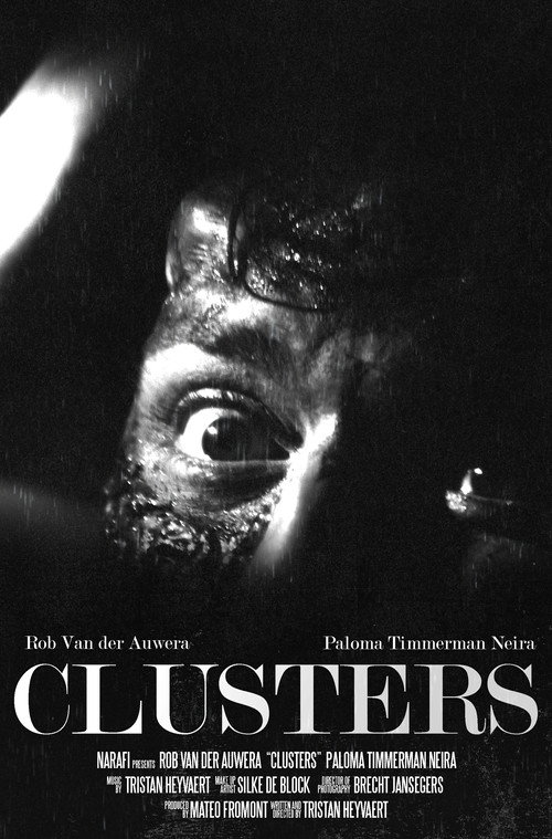 Clusters Poster