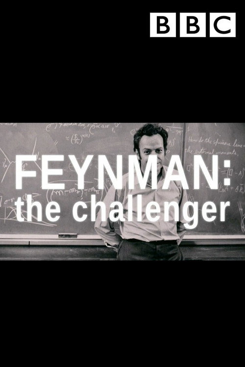 Feynman: The Challenger Poster