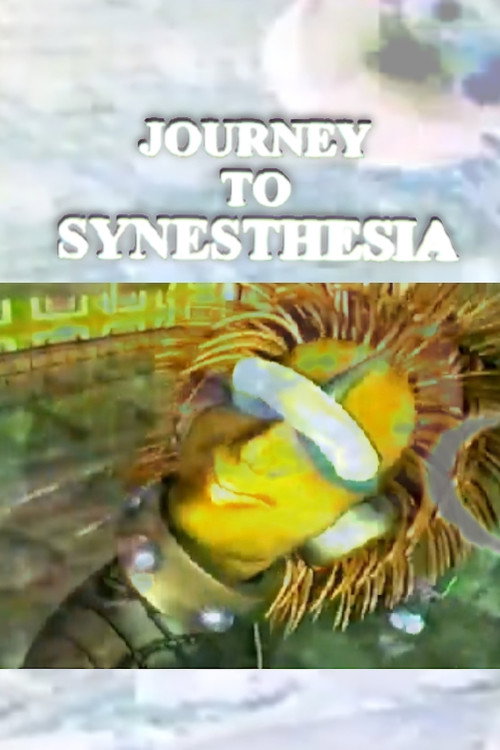 Journey to Synesthesia Poster