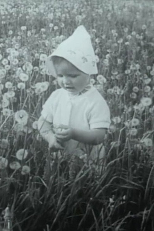 Through the Blooming Linden Poster