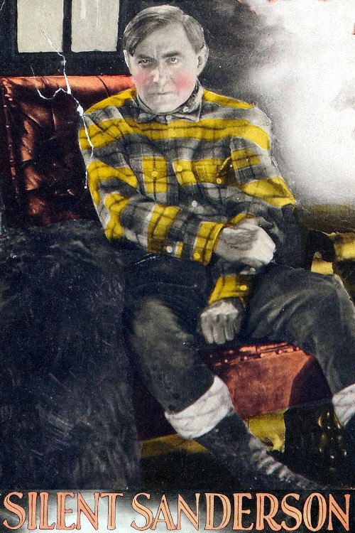 Silent Sanderson Poster