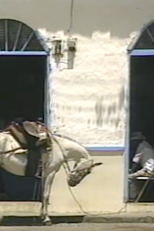 Recuerdos de Sangre Poster