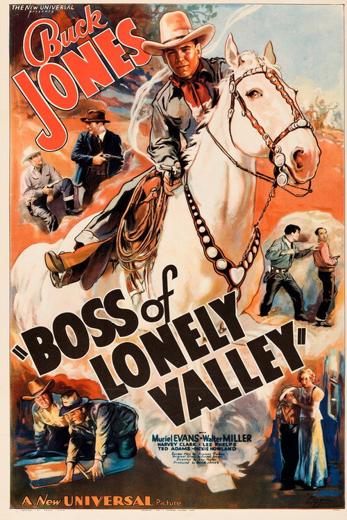 Boss of Lonely Valley Poster