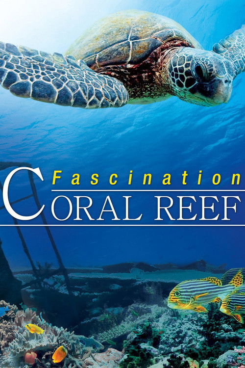 Fascination Coral Reef Poster