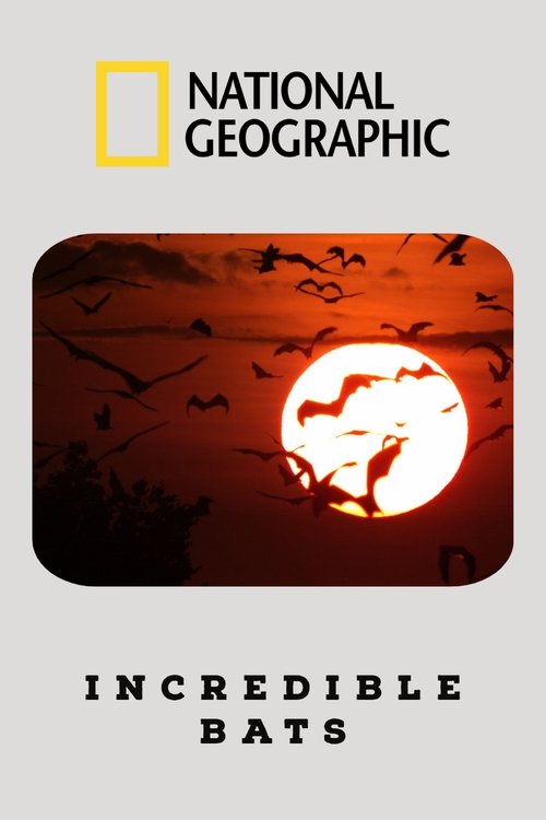 Incredible Bats Poster