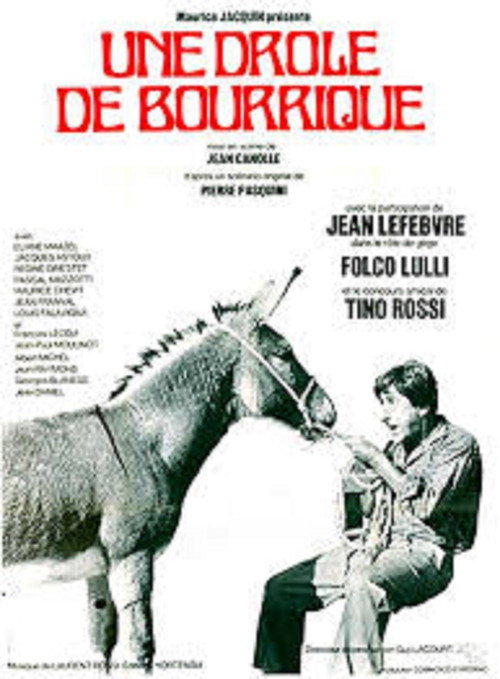 The Donkey of Zigliara Poster