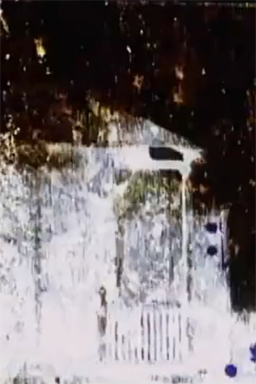 The Homestead Act Poster