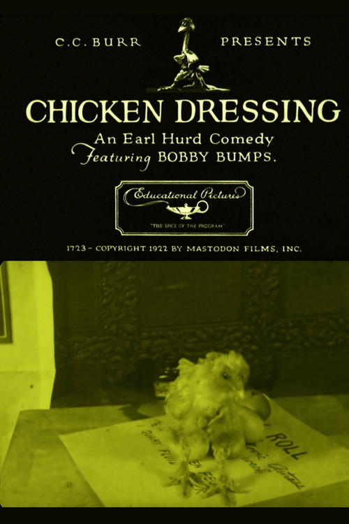Chicken Dressing Poster