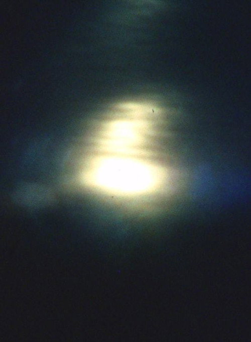 Interval Oakland 99 Poster