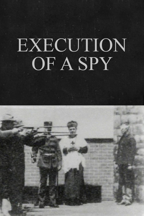 Execution of a Spy Poster
