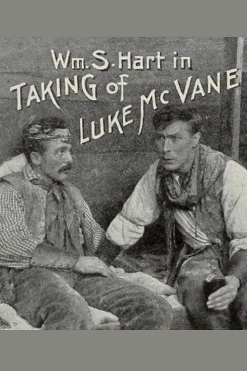 The Taking of Luke McVane Poster