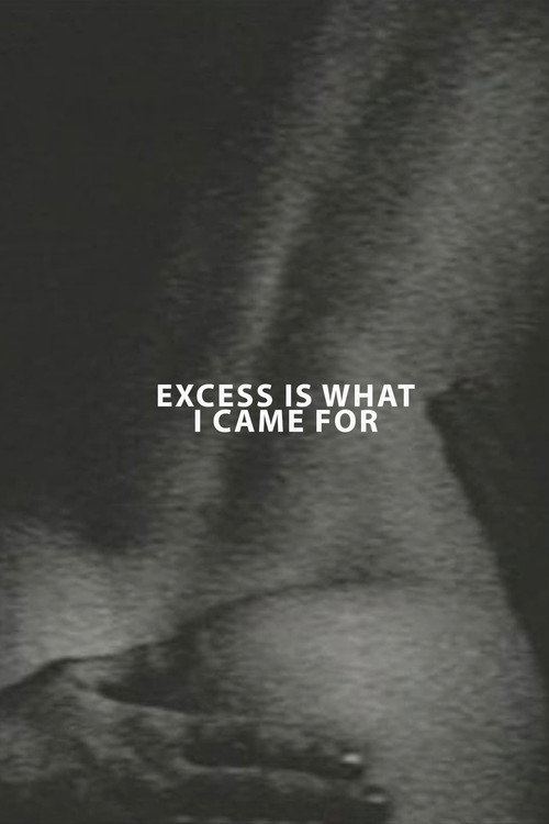 Excess Is What I Came For Poster