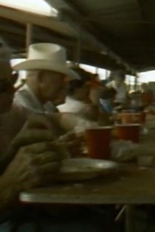 Red or Green: Hot or Mild Poster