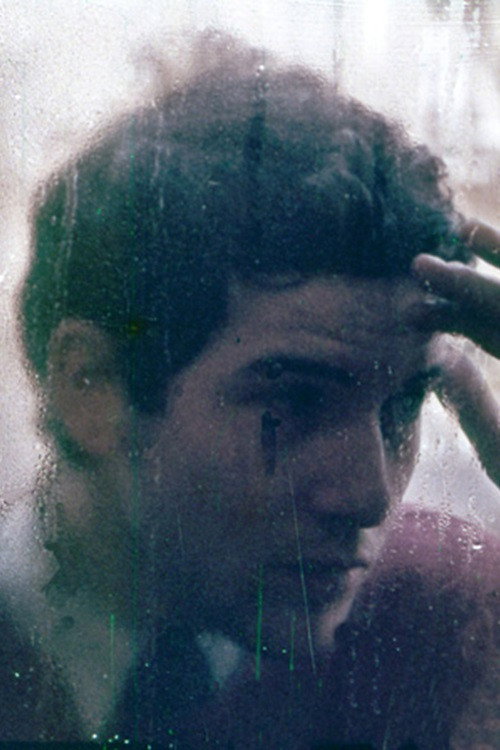 Le Jardin des Tuileries Poster