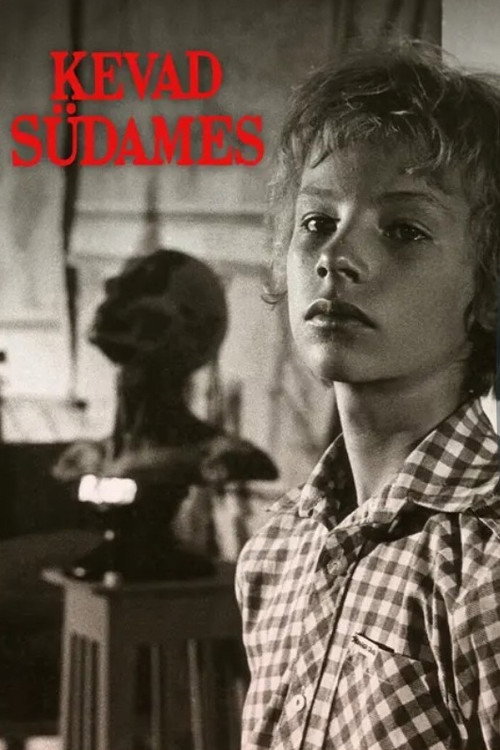 Spring at Heart Poster