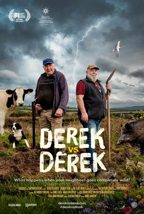 Derek vs Derek Poster