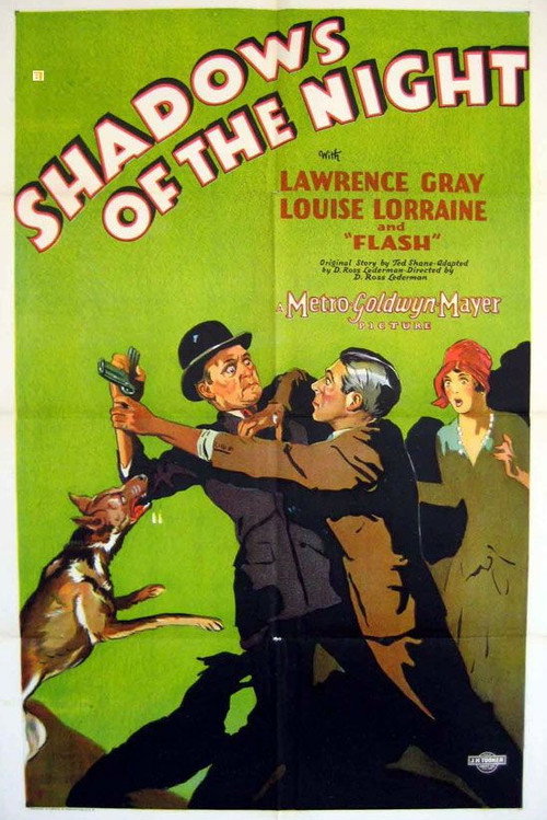 Shadows of the Night Poster