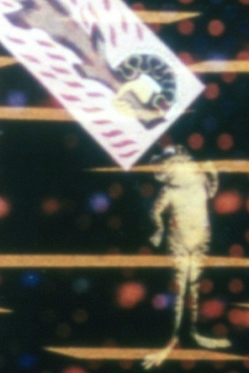 No. 17: Mirror Animations Poster