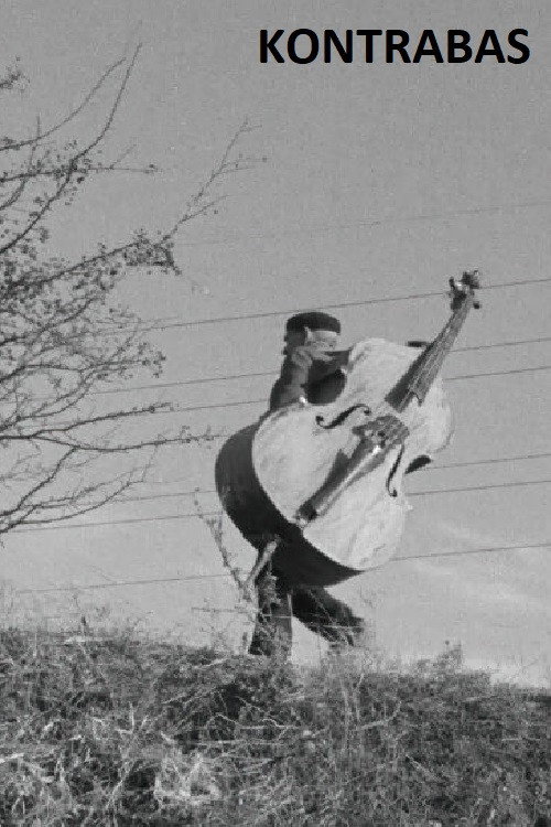 The Double Bass Poster