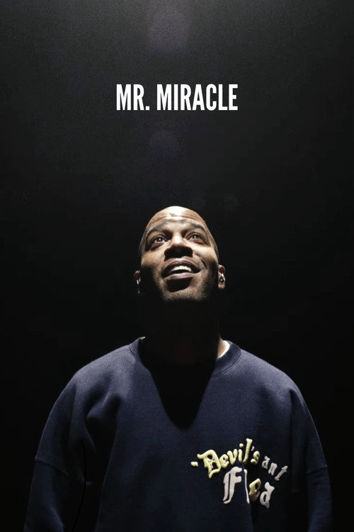 Mr. Miracle Poster