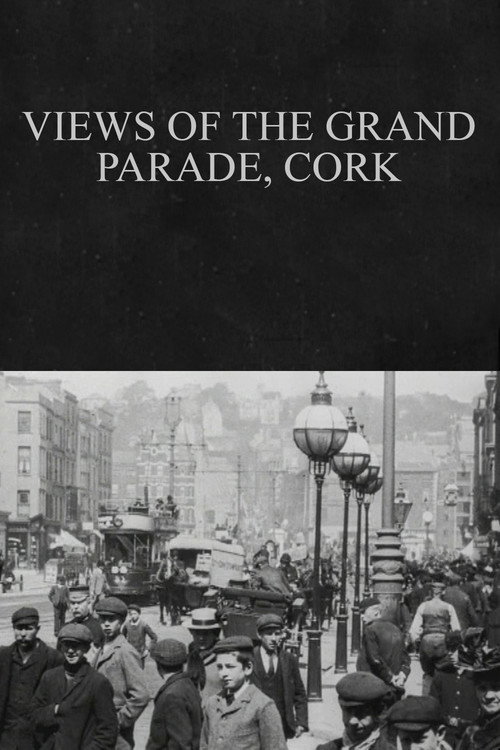 Views of the Grand Parade, Cork Poster