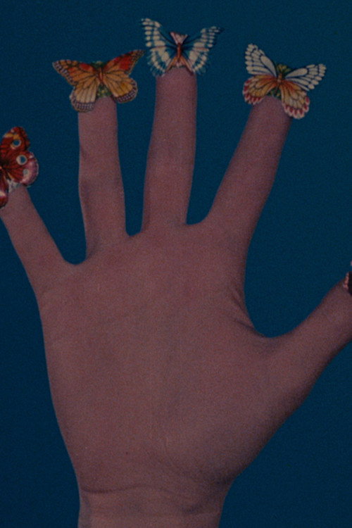 Some Butterflies Poster
