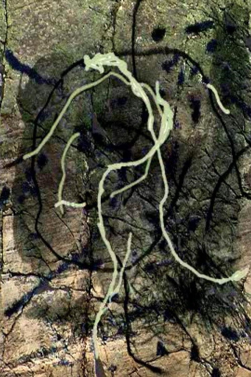 Rivière au tonnerre Poster