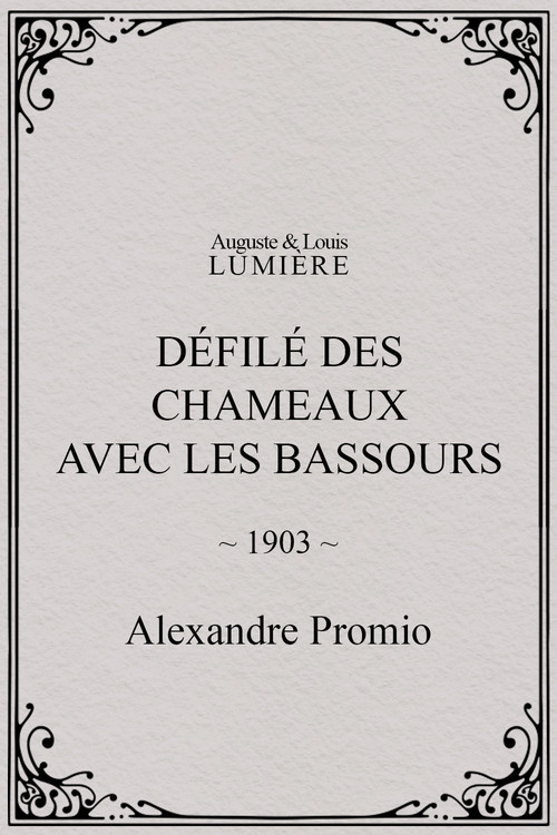 Défilé des chameaux avec les Bassours Poster
