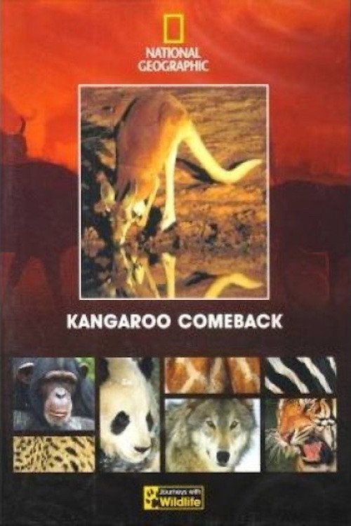 Kangaroo Comeback Poster