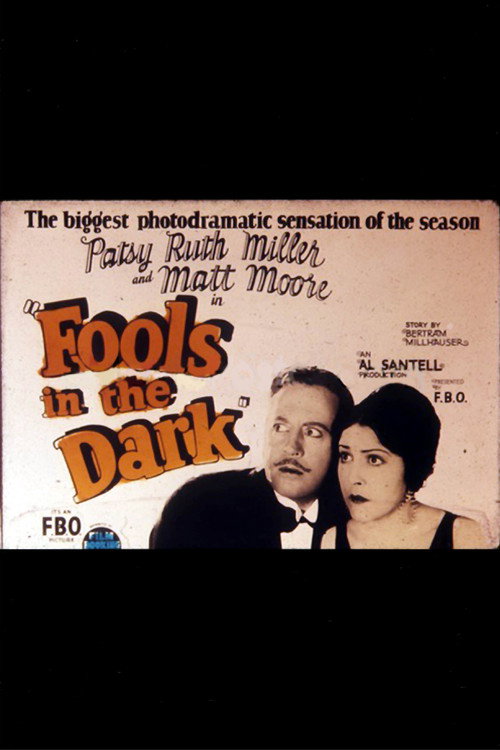 Fools in the Dark Poster