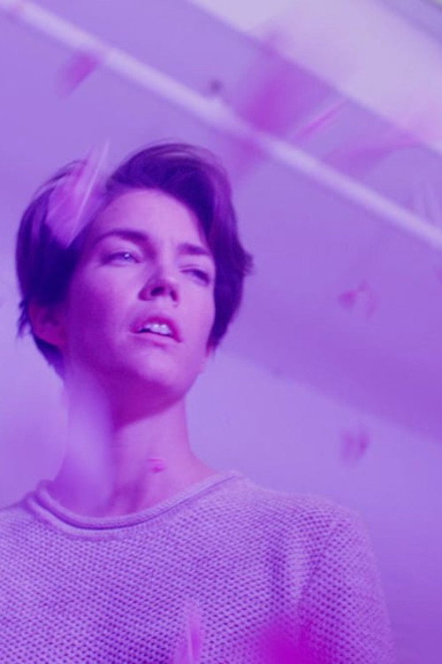 Looking Glass Poster