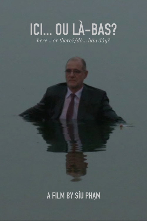 Here... or There? Poster