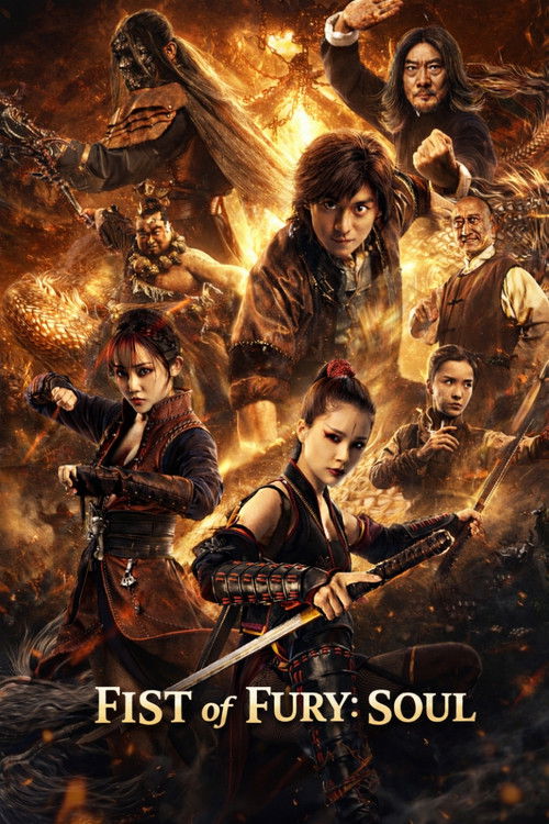 Fist of Fury: Soul Poster