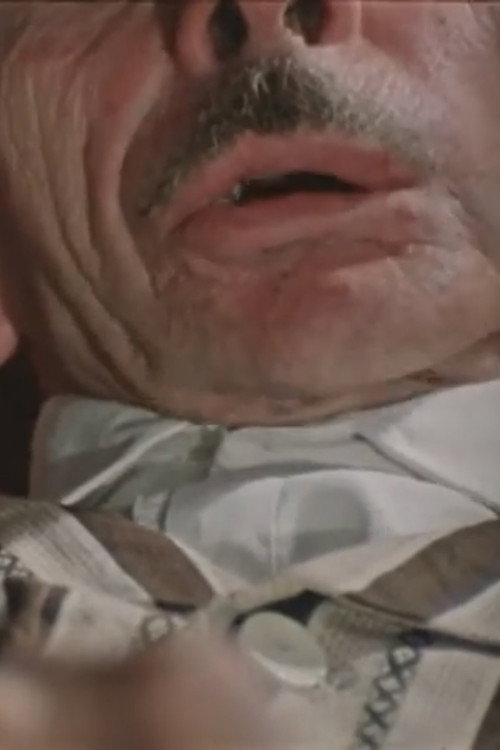 Inwentaryzacja Poster