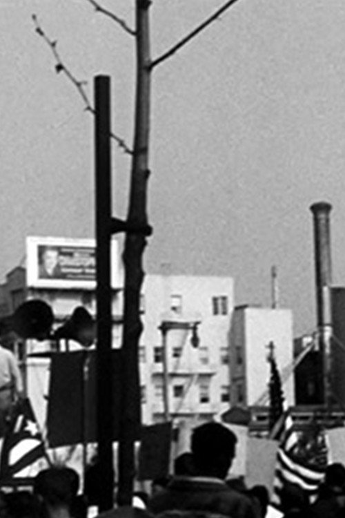 The News #3 (The Peace Rally) Poster