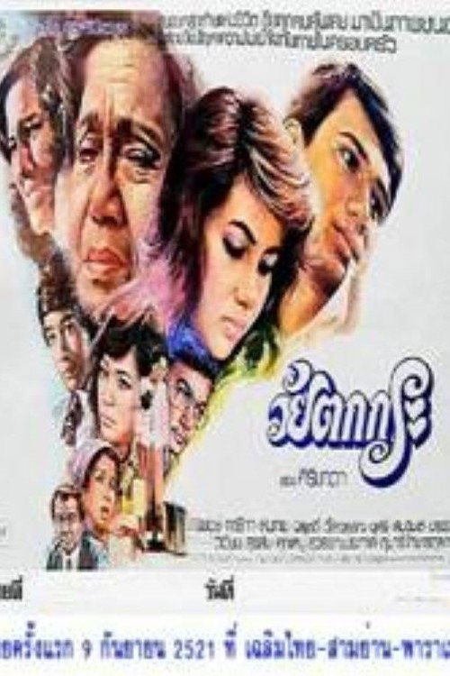 An Old Woman Poster