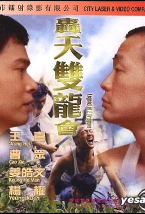 轰天双龙会 Poster