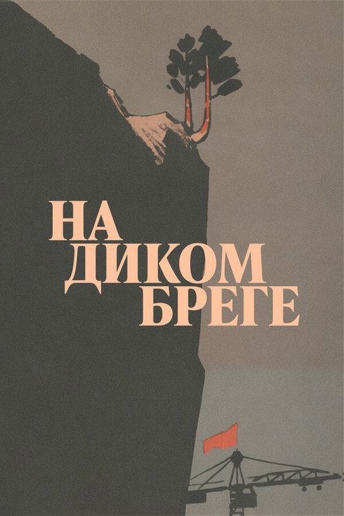 On the Wild Shore Poster