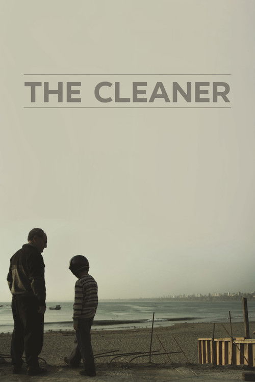 The Cleaner Poster