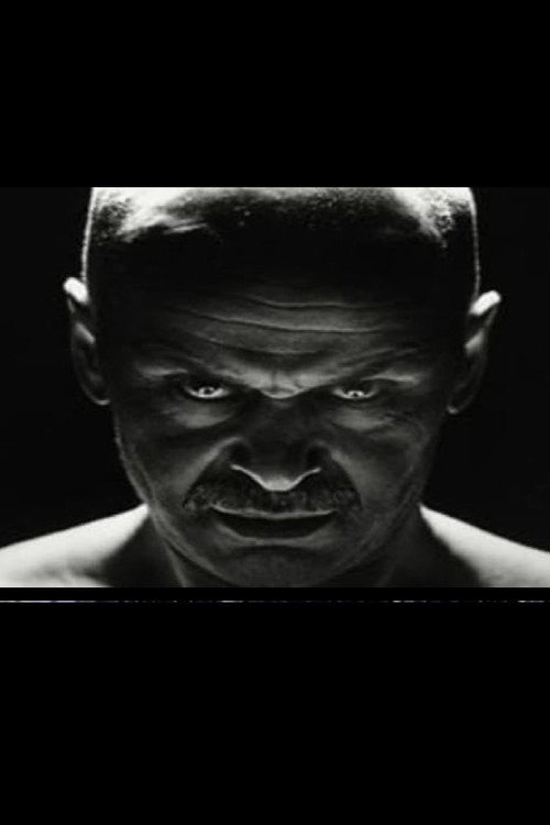 Turkan lapset Poster