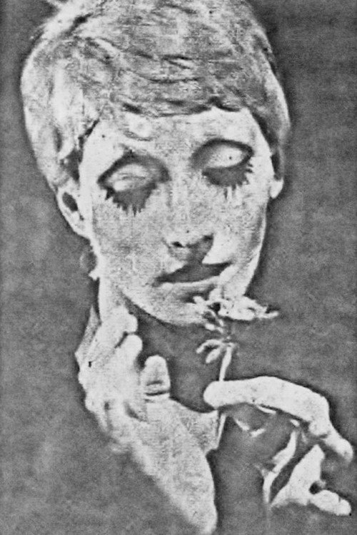 Recuerdos de una Flor Poster