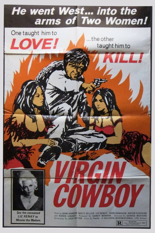 Virgin Cowboy Poster