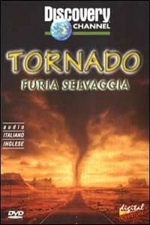 Tornado Chasers Poster